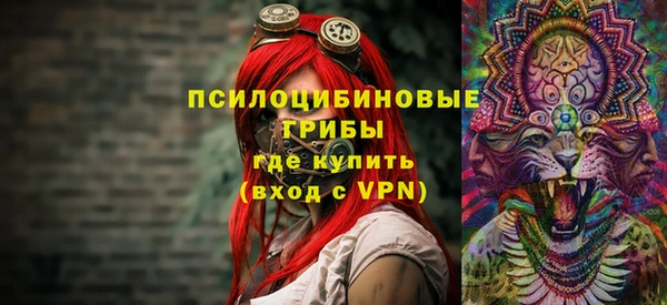 крисы Армянск