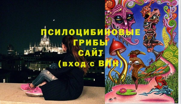 крисы Армянск