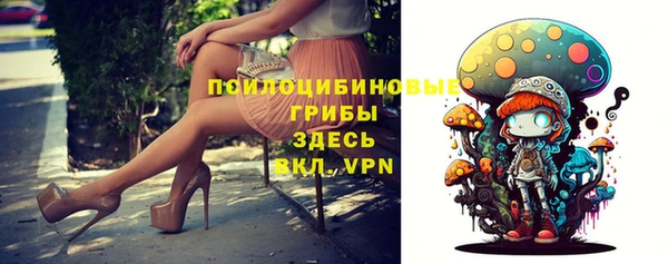 крисы Армянск