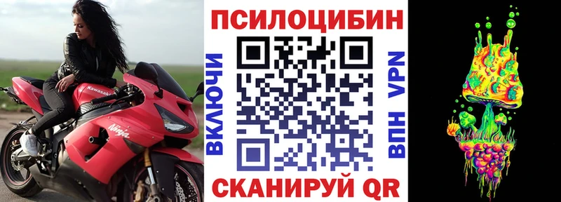 Псилоцибиновые грибы Psilocybe  Купить где  Балтийск 